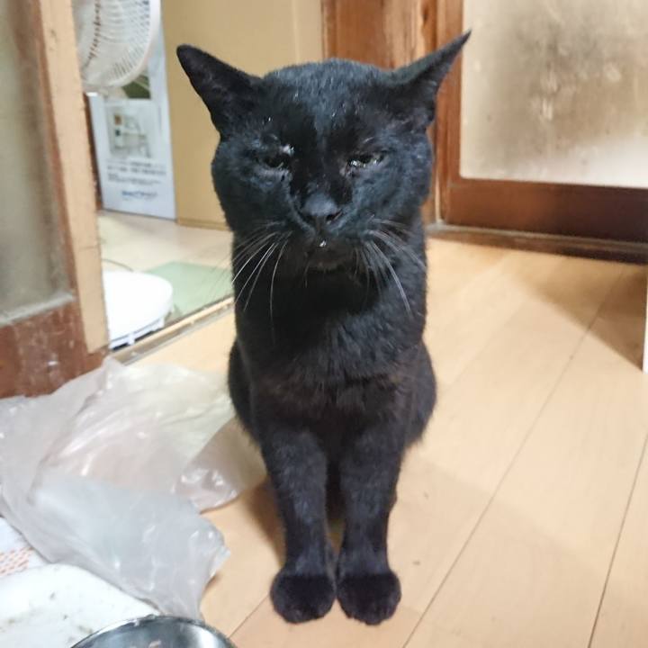 A5b67ece 316f 41ee 85ec 1cad9cf4a378 1628507778558