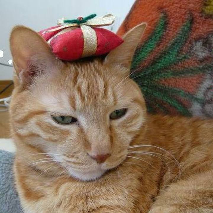 A5b6ea9e bd7f 425e 977b dbc8fe602acd 1511752349980