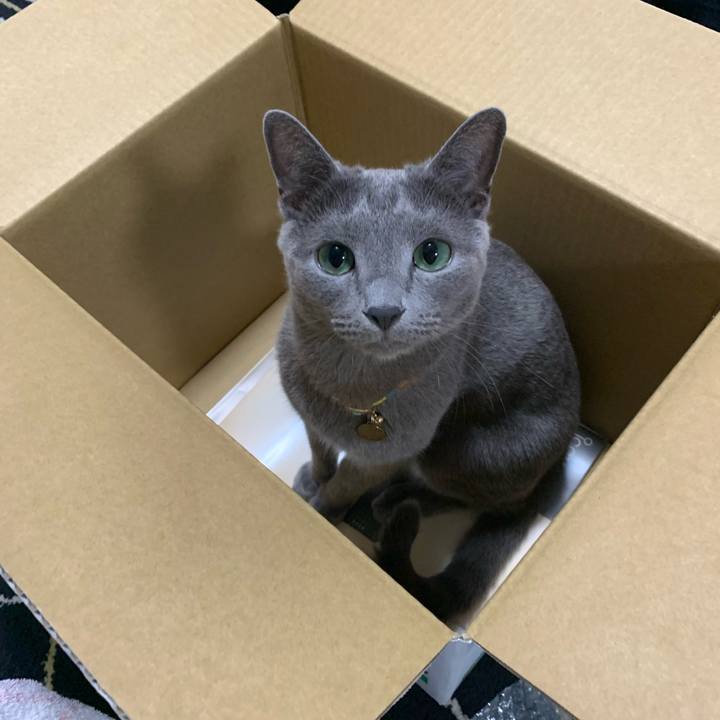 A5b6f45c 54af 40e2 8952 c0c60ba145a9 1627216511952