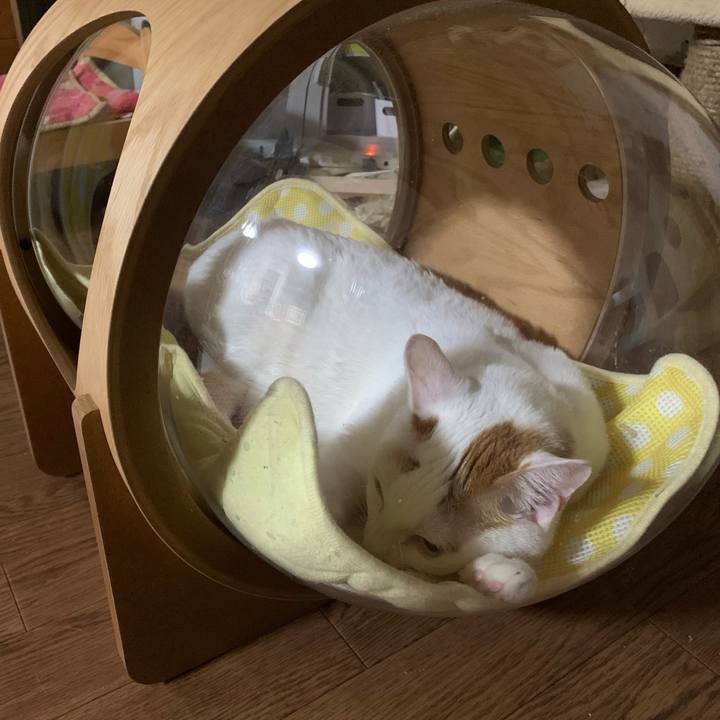 A5b7107b 36bf 44f2 b5ae 5fea371f5a74 1593015190048