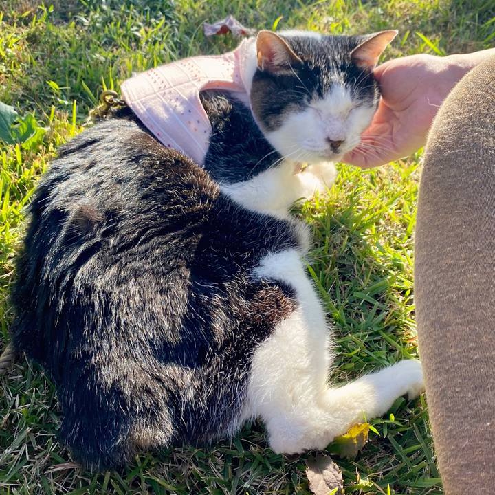 A5b744d8 7eb2 42af a151 99c542581d84 1605335490916