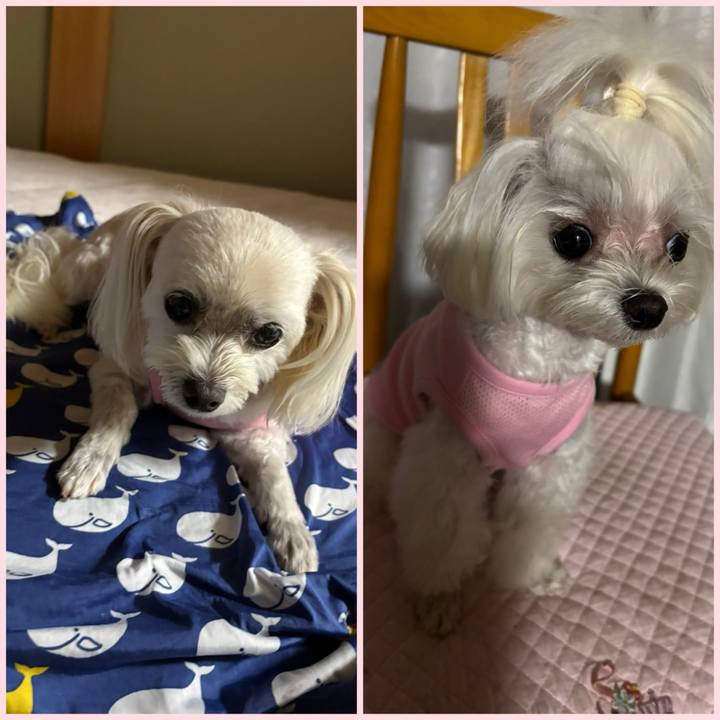 A5b76a55 0e06 4364 a495 d99d21b236b8 1756469408832