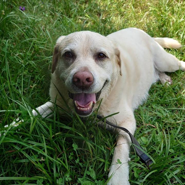 A5b7b14f 6fd4 48e7 8dc8 cf7225f9b15c 1752033180887