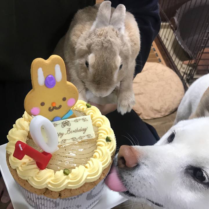 A5b7dc79 0307 4171 8f3b cbb4b905e966 1519048326179