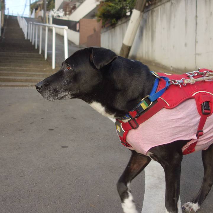 A5b7dcc9 afca 4254 8289 bf5e0fa43a3a 1675299641775