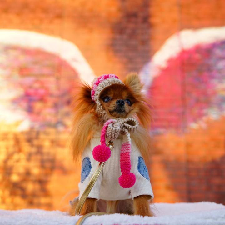 A5b80cfe 8c81 487a 89dc 6e95da65c278 1512636479536