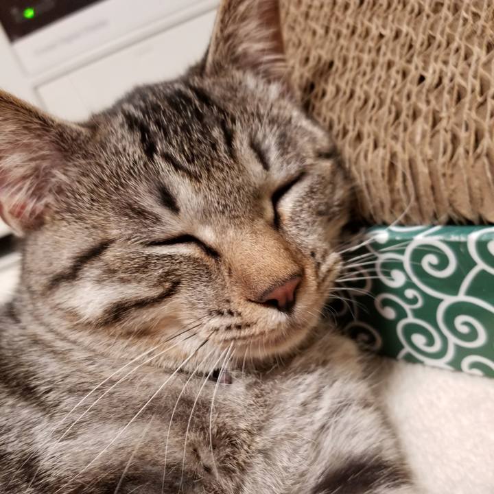 A5b81db5 a2f3 482c ab3e bd681da630b3 1670716260942