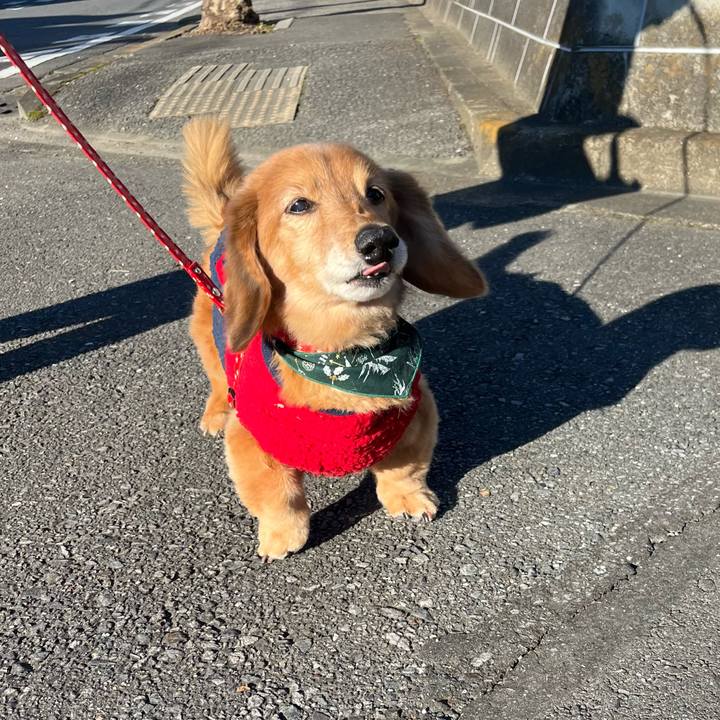 A5b83566 e29b 42d5 a5f6 86eb2a089eaf 1640092717076