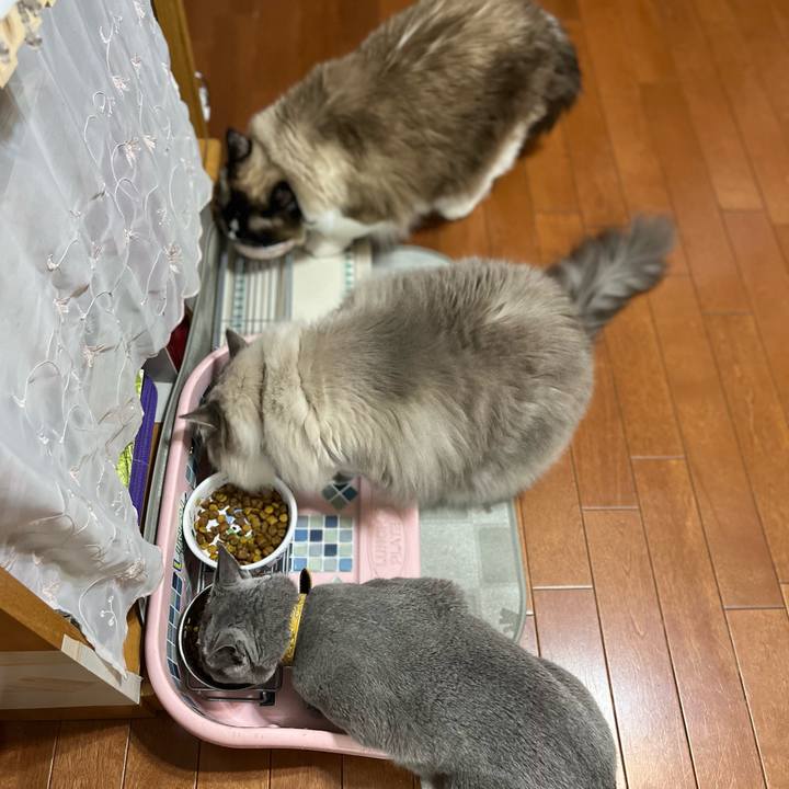 A5b84586 3fae 4eed 84d7 1561ddbe156b 1658924910707