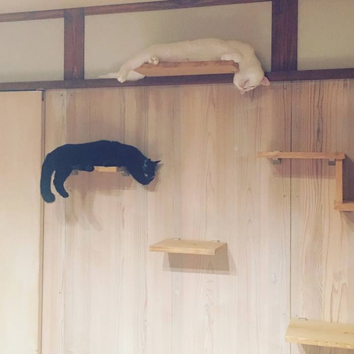 A5b8496c 2793 4f80 bf99 1118c303b218 1558744490554