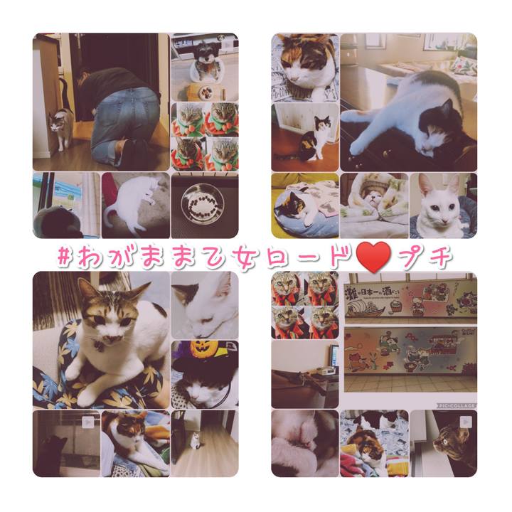 A5b85cfc 04eb 4383 91dd ac2c3e396fb1 1570968185166