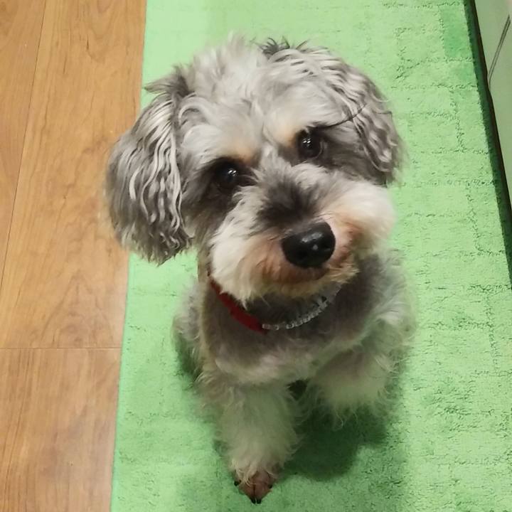 A5b86a08 0ad9 415e bb8e 35d39326f173 1663686909665