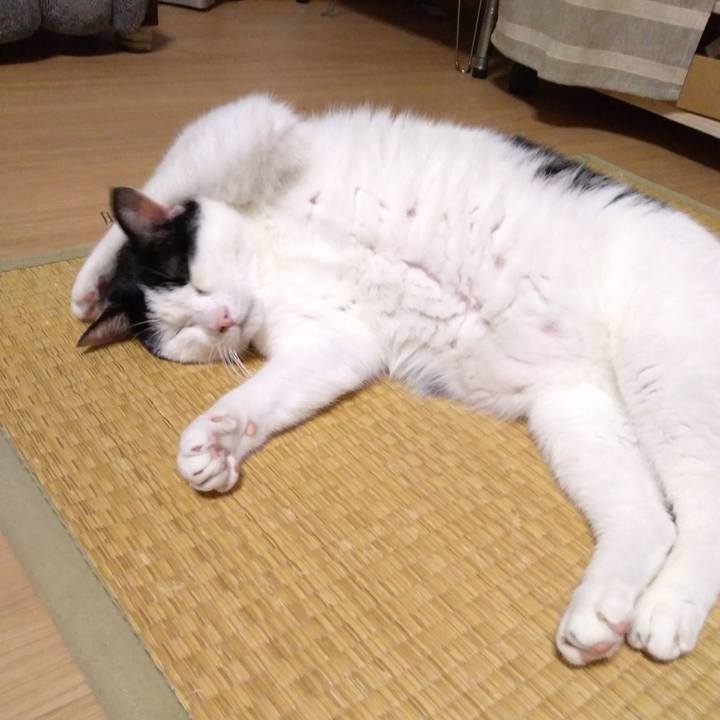 A5b87093 0f4e 4b9b 8ee1 d32b26d787f8 1529580254898