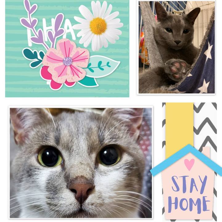 A5b87d91 4b7d 4321 b563 44f40ff791b5 1594243672577