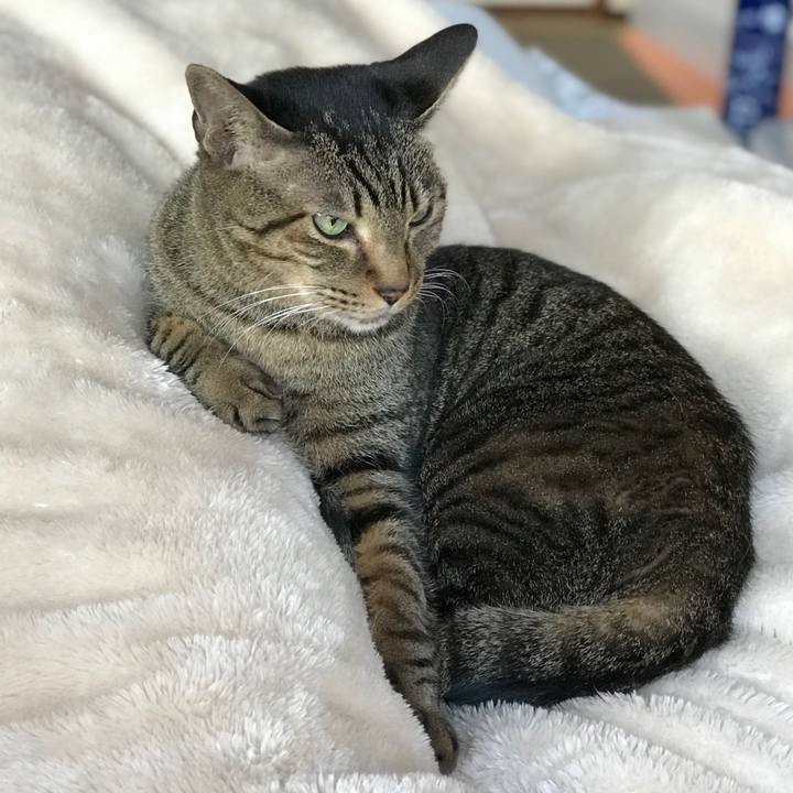 A5b8920f bea2 478b 985e f155198f9c59 1515806701803