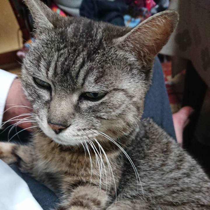 A5b89512 4415 45e8 956a d2791e84f521 1556618791436