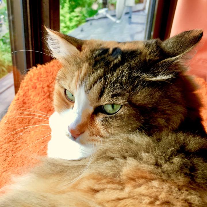 A5b8baa0 4b32 4705 bba7 a217ef6a2c5b 1562999252721