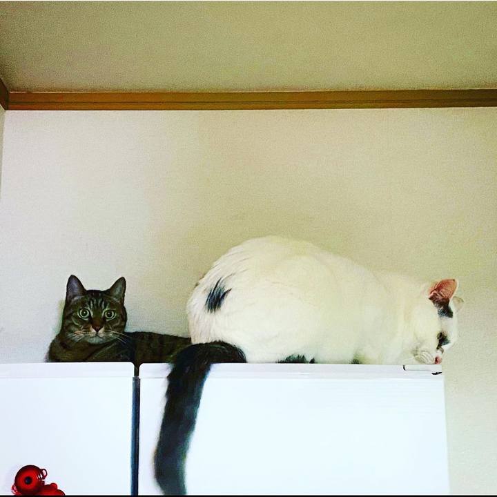 A5b8e6f6 6ee2 41c2 8695 35f8e521895d 1625905975373