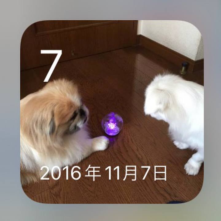 A5b9215a 985a 4433 8904 fd28e315c622 1636274368961