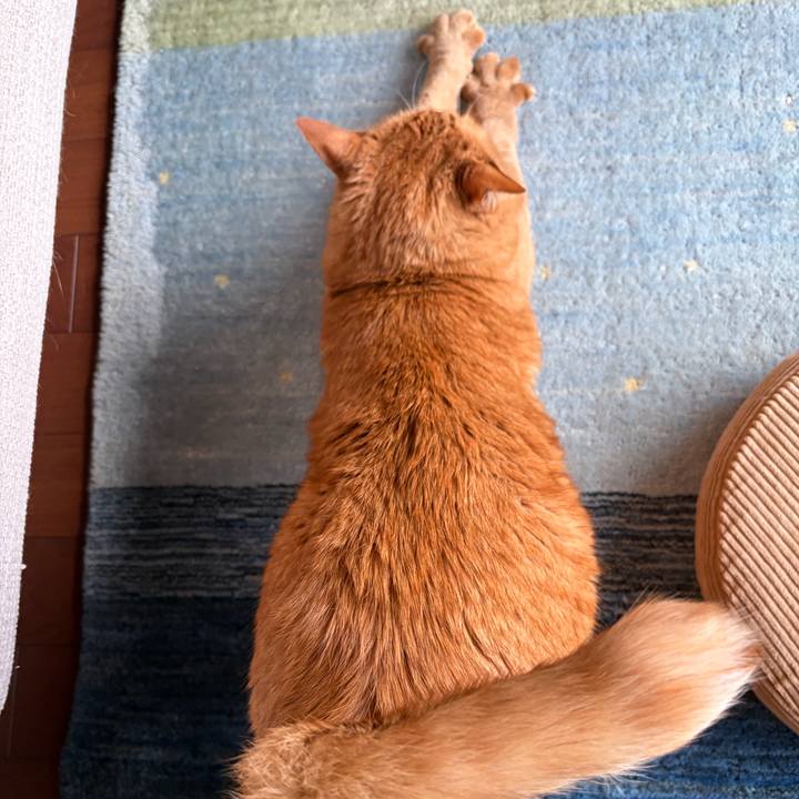 A5b92591 c3a1 4063 867a 53c901ee3a3c 1767826873803