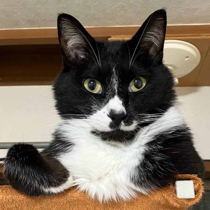 A5b929af caed 41b3 8fba 47d3a10fbd22 1690773077282