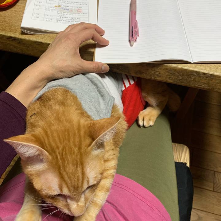 A5b94b9e 62e8 487d 8edf 0307313bc1e7 1611755574196