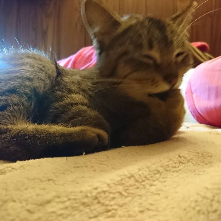 A5b95b63 9783 4a8d 942c eb27d09b694d 1557663377981