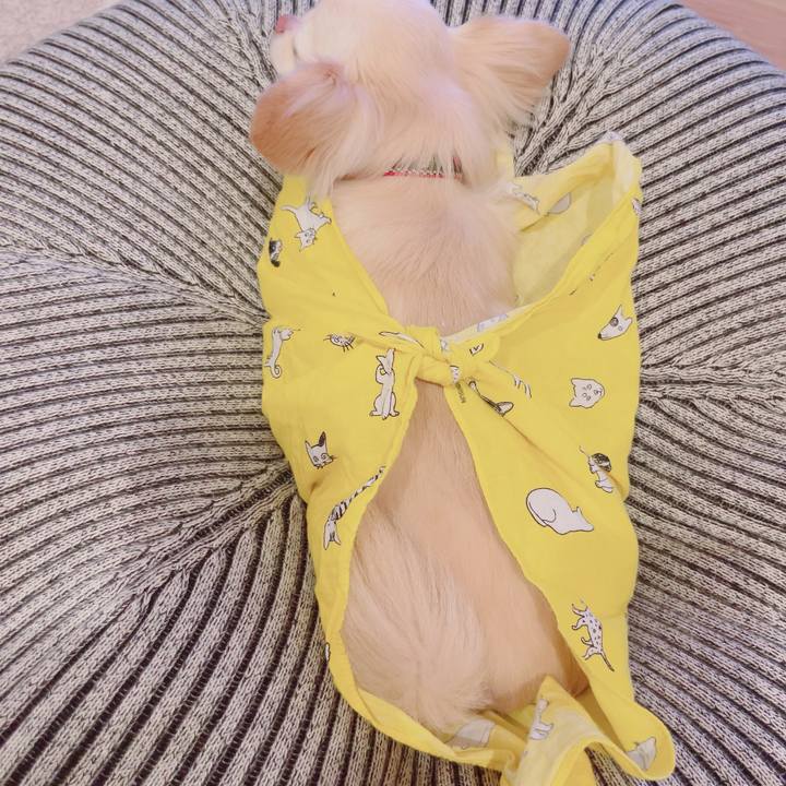 A5b98212 4316 40dc a5b6 a2dbaefd9124 1691933357720