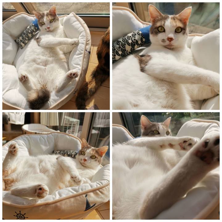 A5b982d1 86e7 420c 8235 b64cdda13550 1622431130358