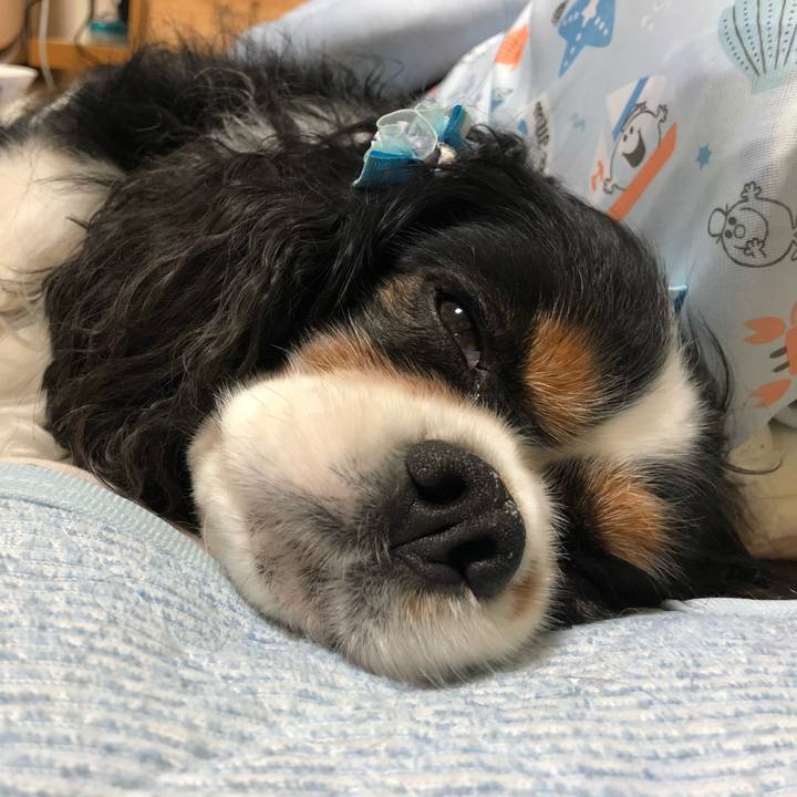 A5b9987c af90 46c9 81c7 39152c8497f8 1530064537889