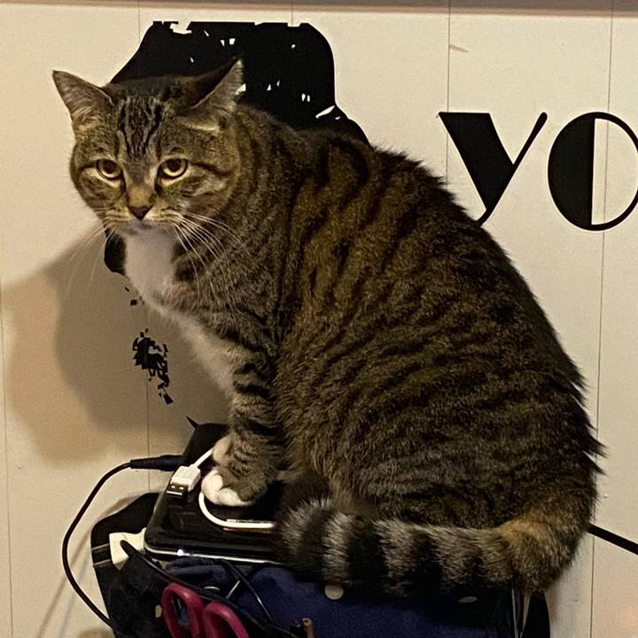 A5b99a11 e621 4cf0 a0c1 7b7e22516b1c 1653403338459