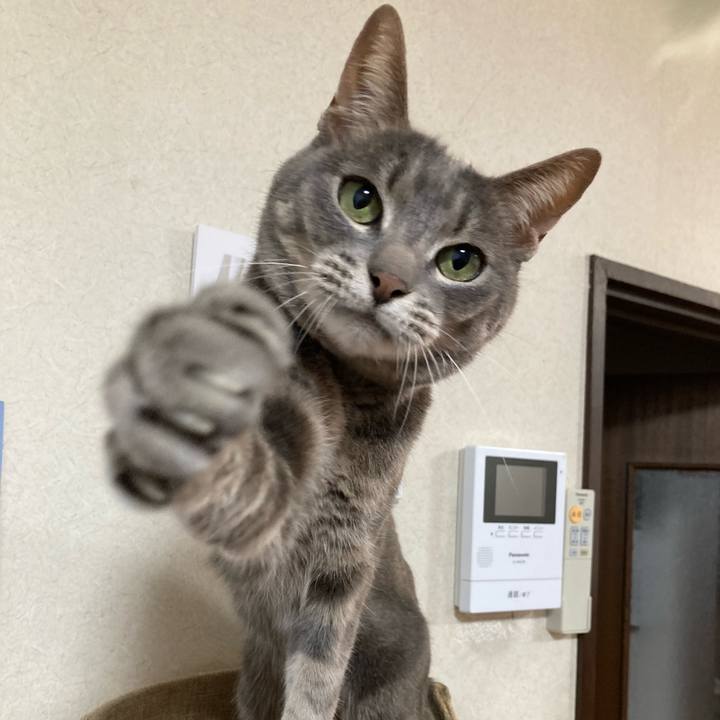 A5b99e79 2de5 418d 8451 9a8529516cf2 1682328551235