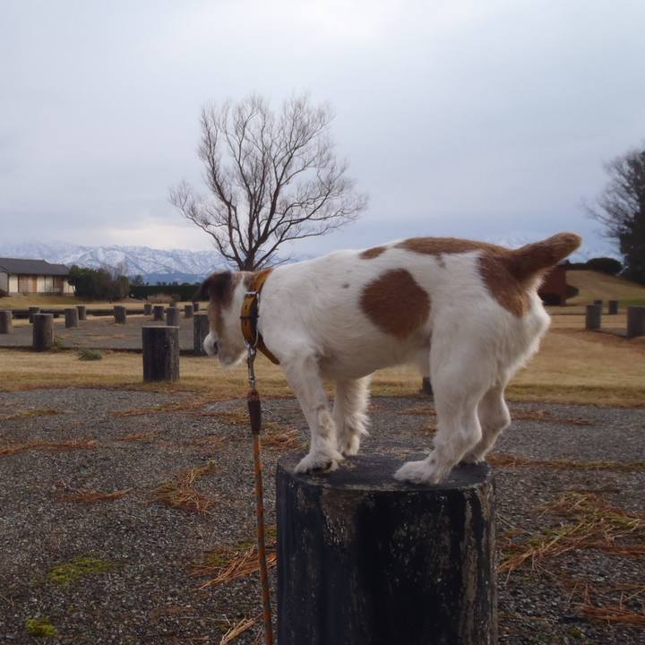 A5b9f871 5316 4998 a49d f5530ee23efc 1515071649517