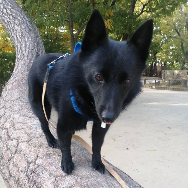 A5ba0259 5910 4a40 b3a3 abfbb48c16d4 1636154859495