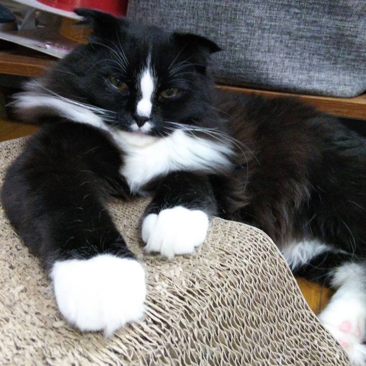 A5ba0f93 d56f 4280 8a16 f318bcb8df75 1651580263213