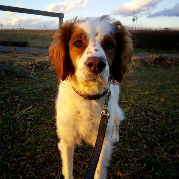 A5ba2996 0fae 47bb 90c8 09298067cdb3 1515659617856