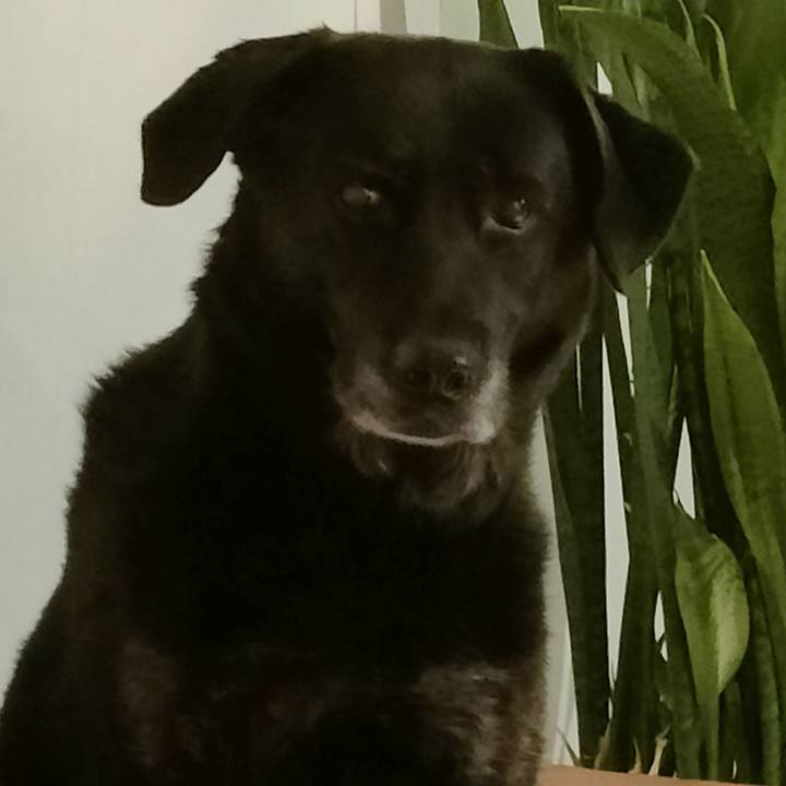 A5ba5a4f 80ed 42a9 a693 685969e6ef5b 1762426085806