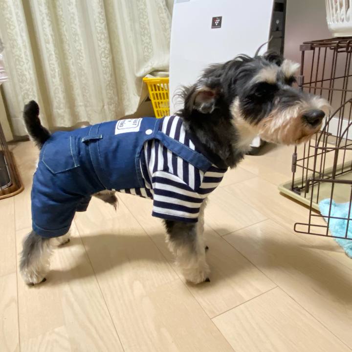 A5ba9645 a1ca 4e98 a205 14714d31b8d9 1603209322285