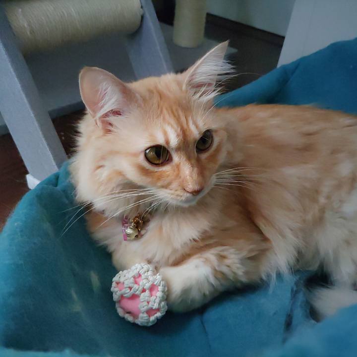 A5ba9e40 d99b 4267 a069 90b6efbd0da9 1663558746494