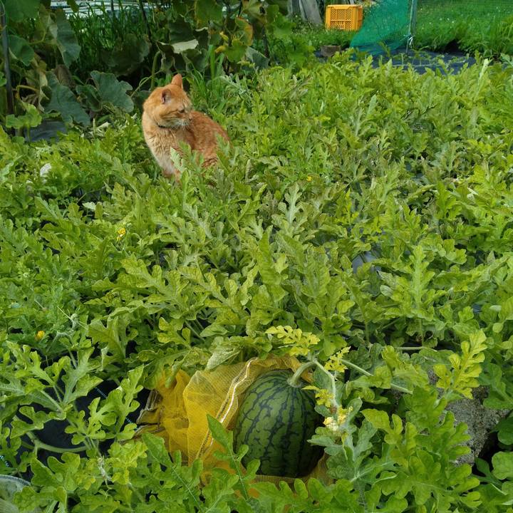 A5badd36 756c 479f a5c8 13df7853ca4c 1721034803346