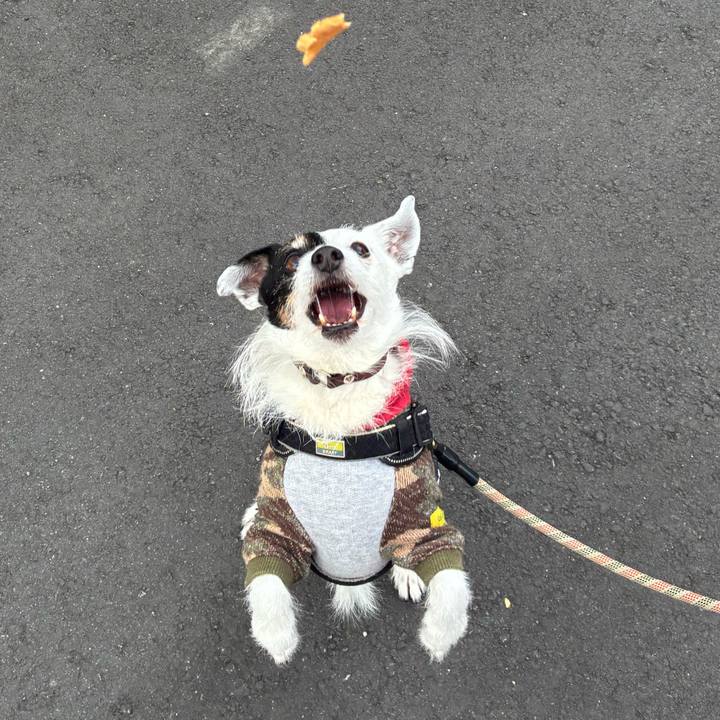 A5bb0fa7 dd1a 4059 bcb3 61c74b0de9ab 1774398865487