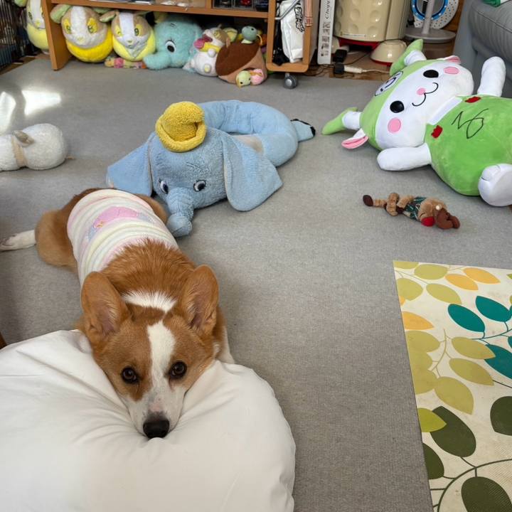 A5bb356c 40f9 4d59 a0a8 8b383ccbf69e 1767421721546