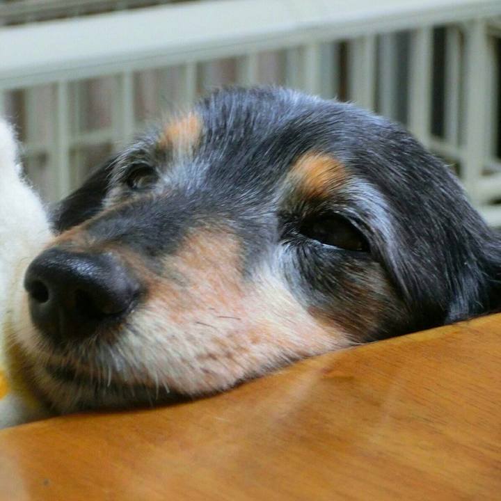 A5bb483a 7ec3 473e 85cf 8e403db1c346 1515286046286