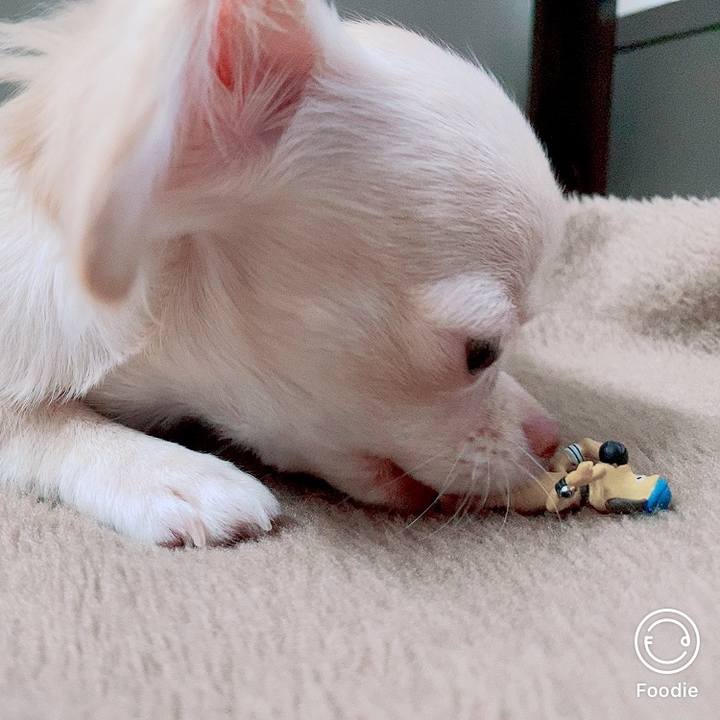 A5bb827d 8368 49d2 8275 57d876055610 1594182038054