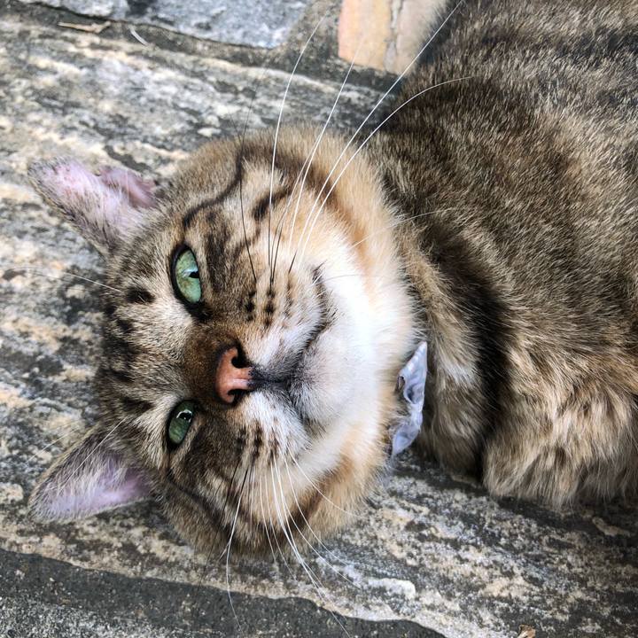 A5bba4c9 c03d 4d1b 81fb b606f300960e 1536308136283