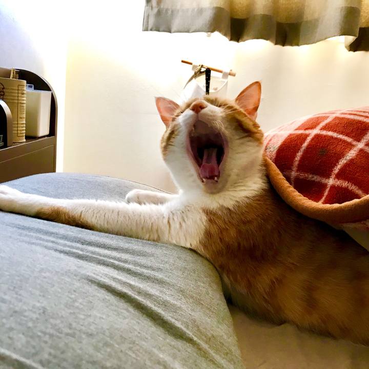 A5bbe507 f134 4996 a86d 7ae88df8a29b 1552605000483