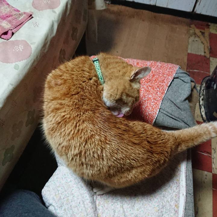 A5bbf09f 0662 40db 81a5 eb22e9efe48b 1582359048595