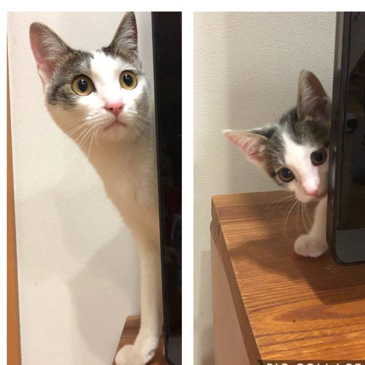 A5bc5880 4065 441e a865 a5671f0e5bae 1588331387532