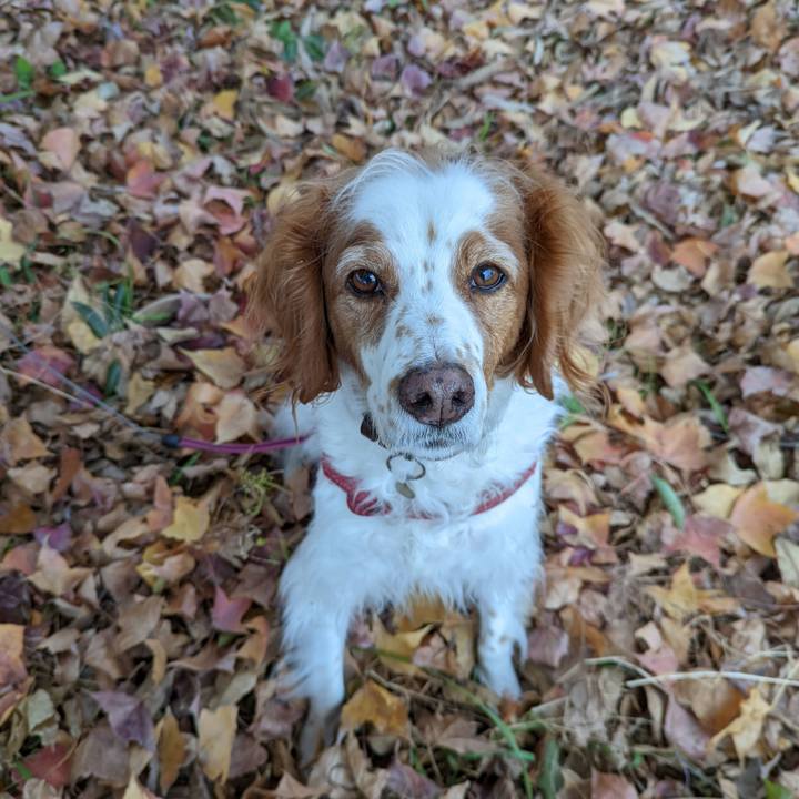 A5bc5a6a 649e 484e b3e4 c2ba7cfdbbbb 1640416906751