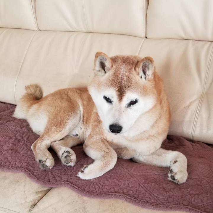 A5bc89ec bb42 494e 9702 e0fe6f23bc59 1745191091676